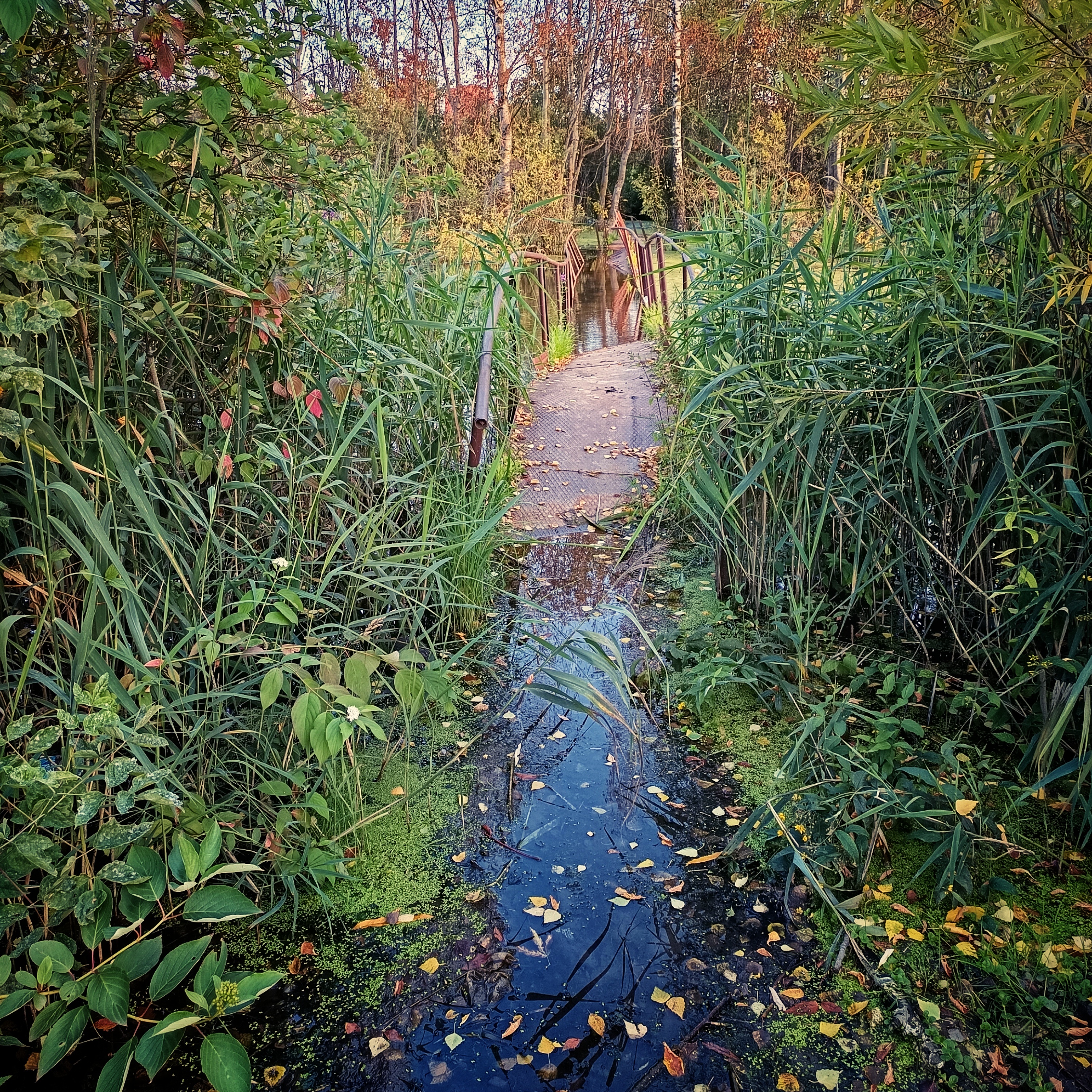 3000x3000