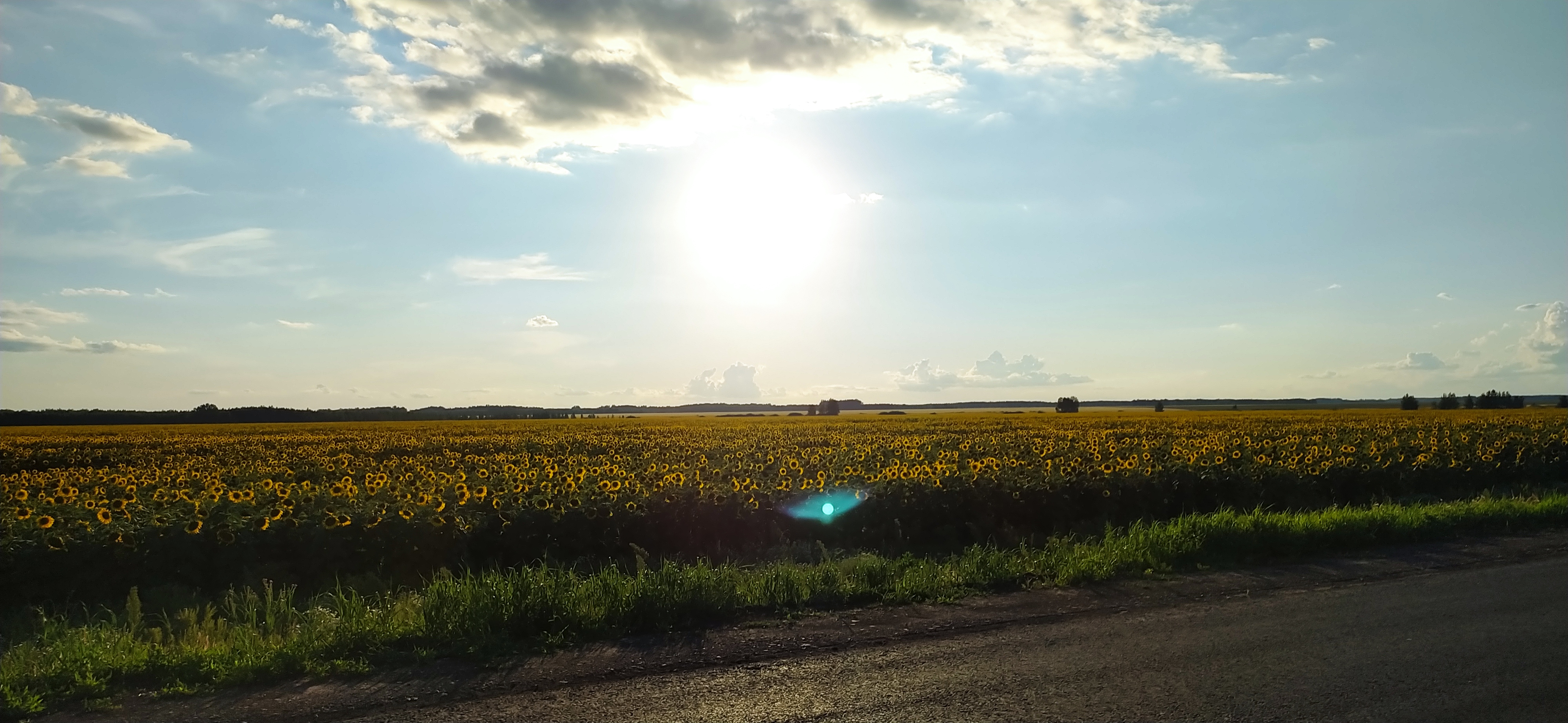 4000x1844