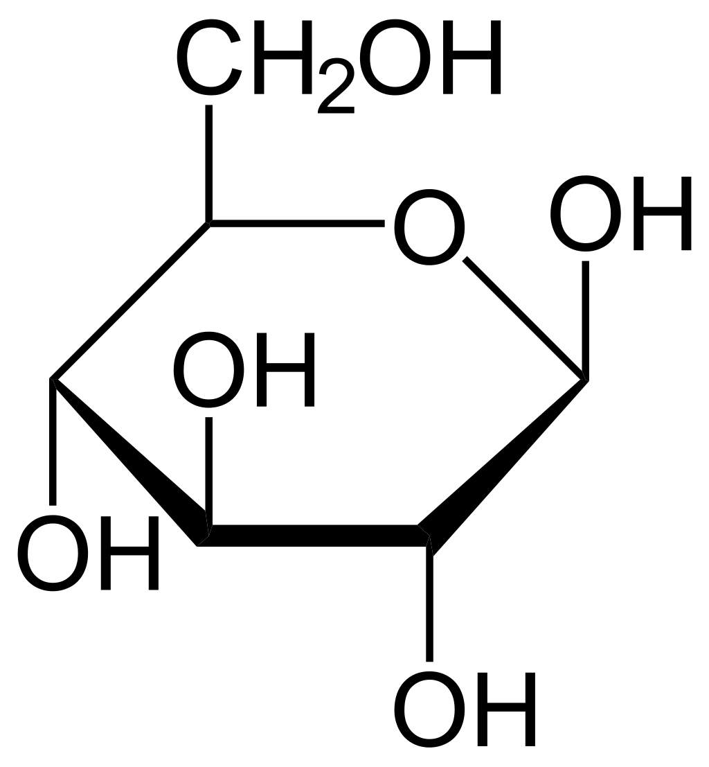 1024x1107