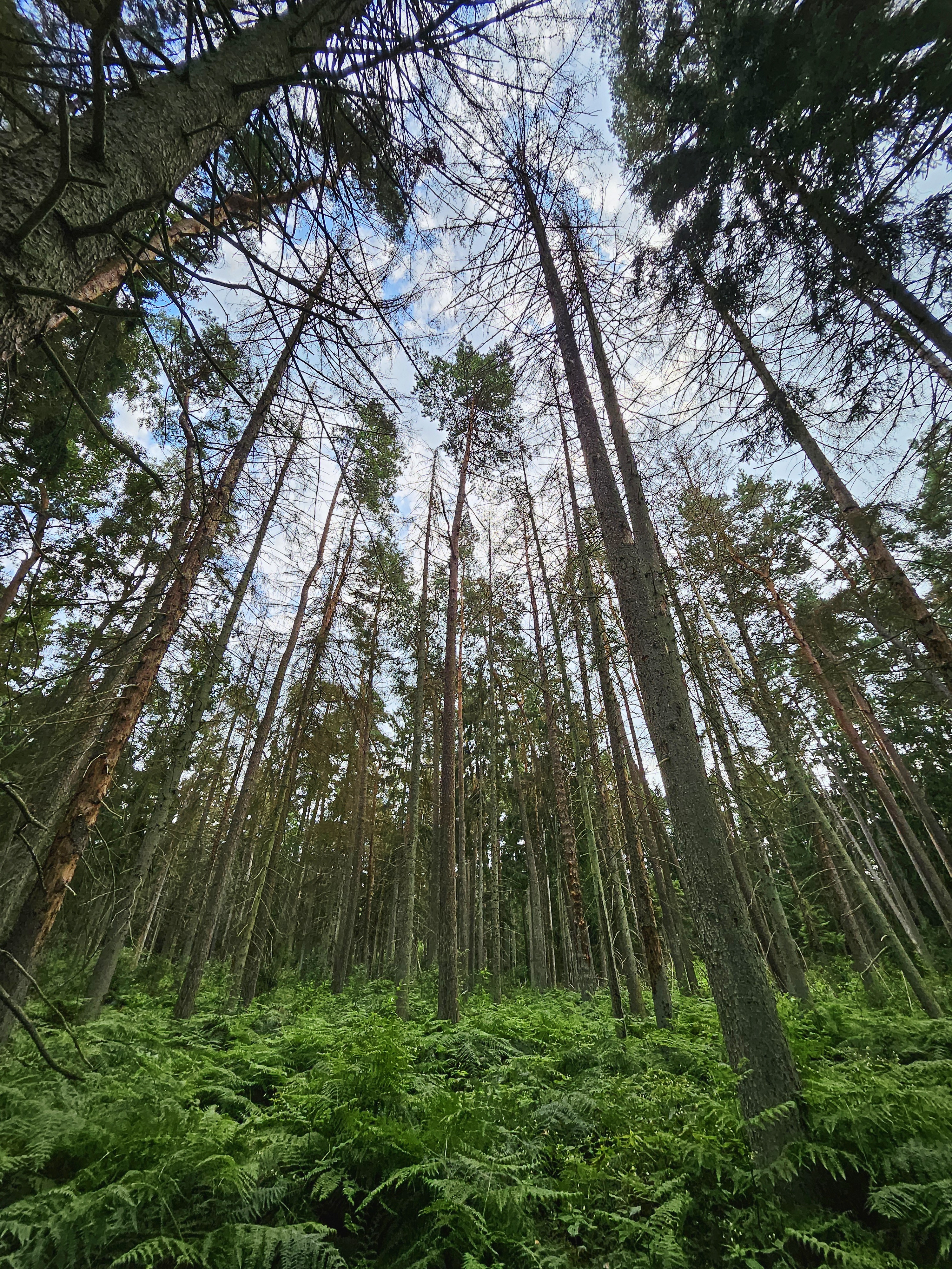 3000x4000