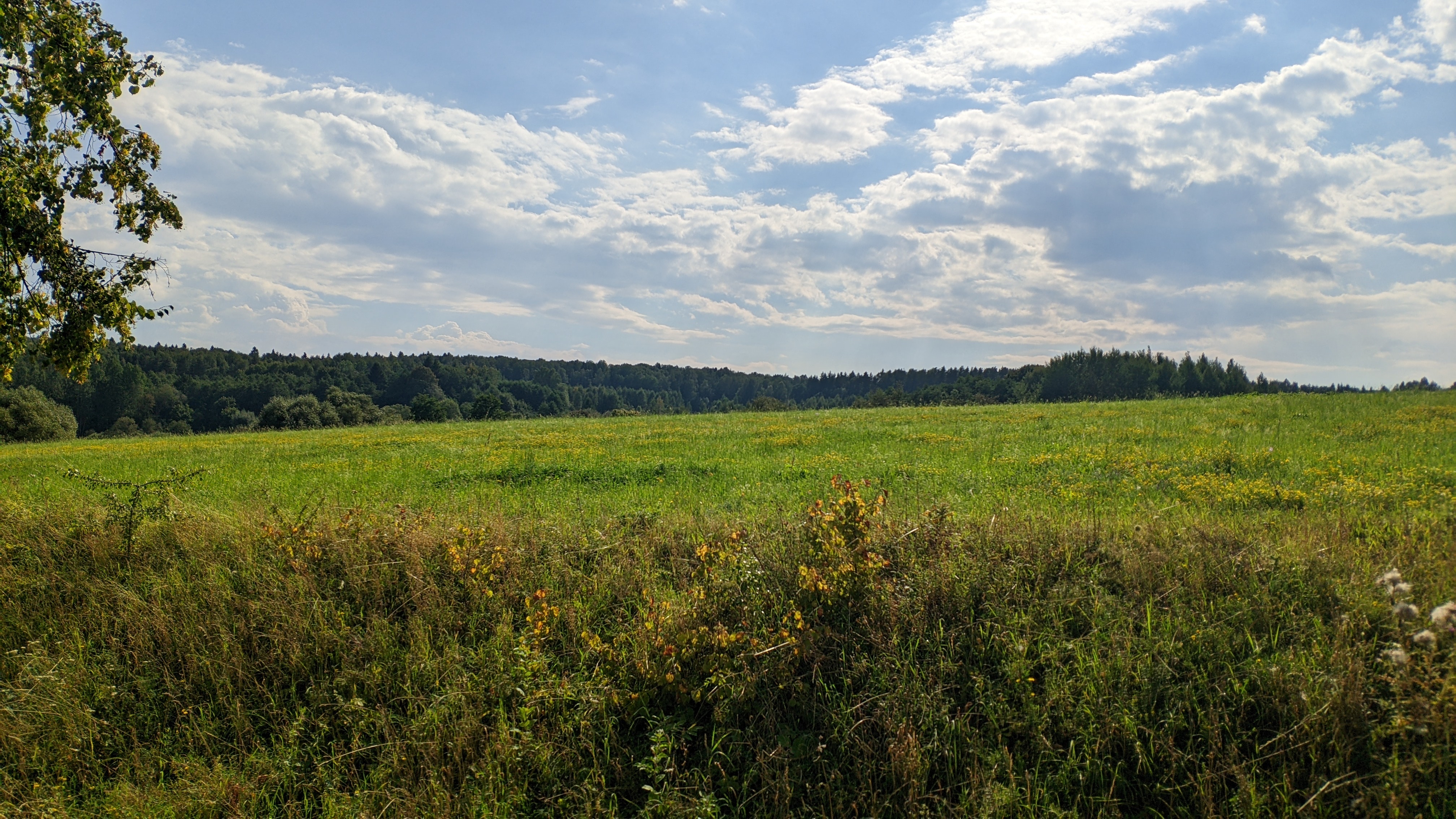 4032x2268