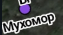 218x124