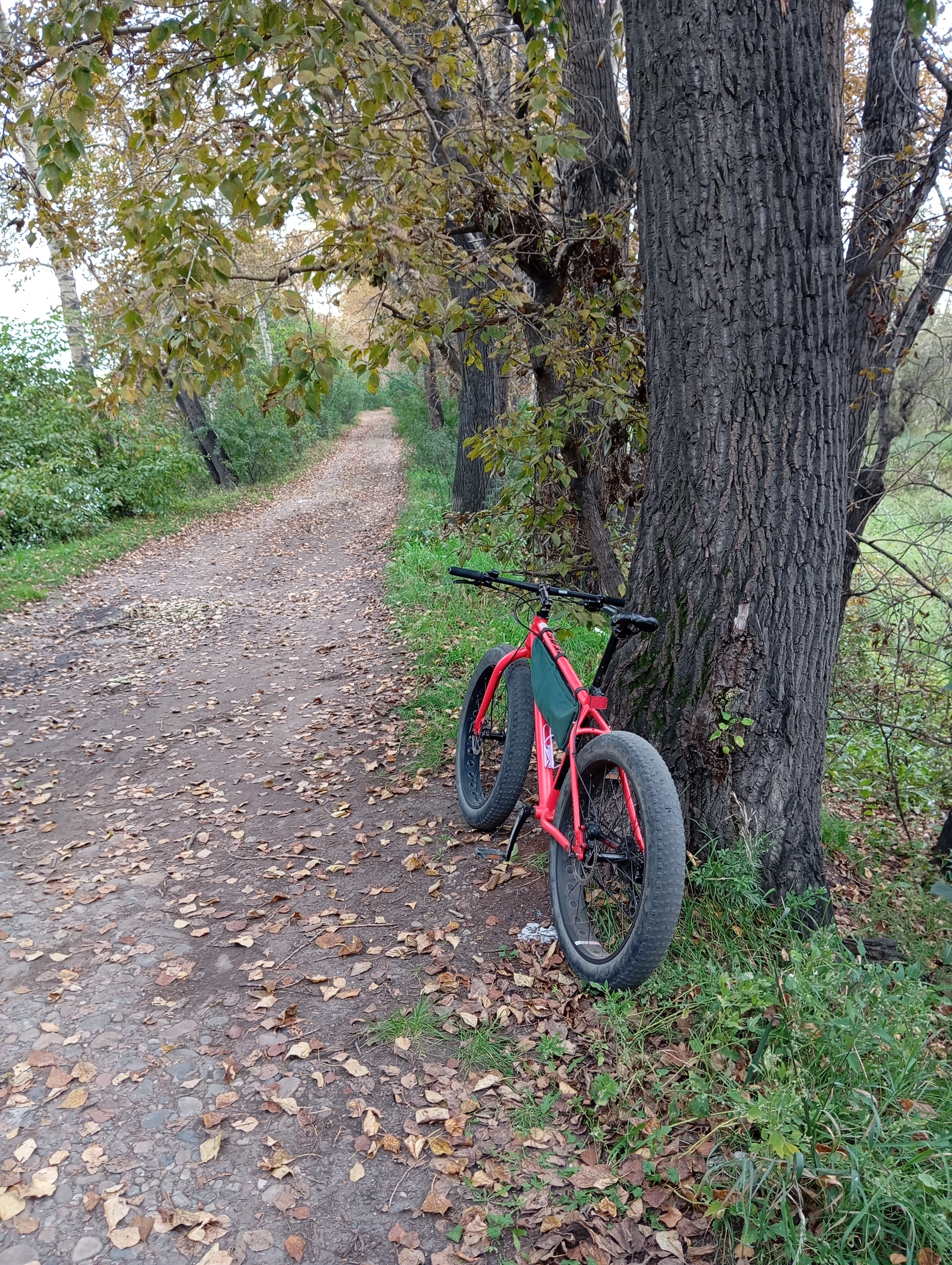 3072x4080