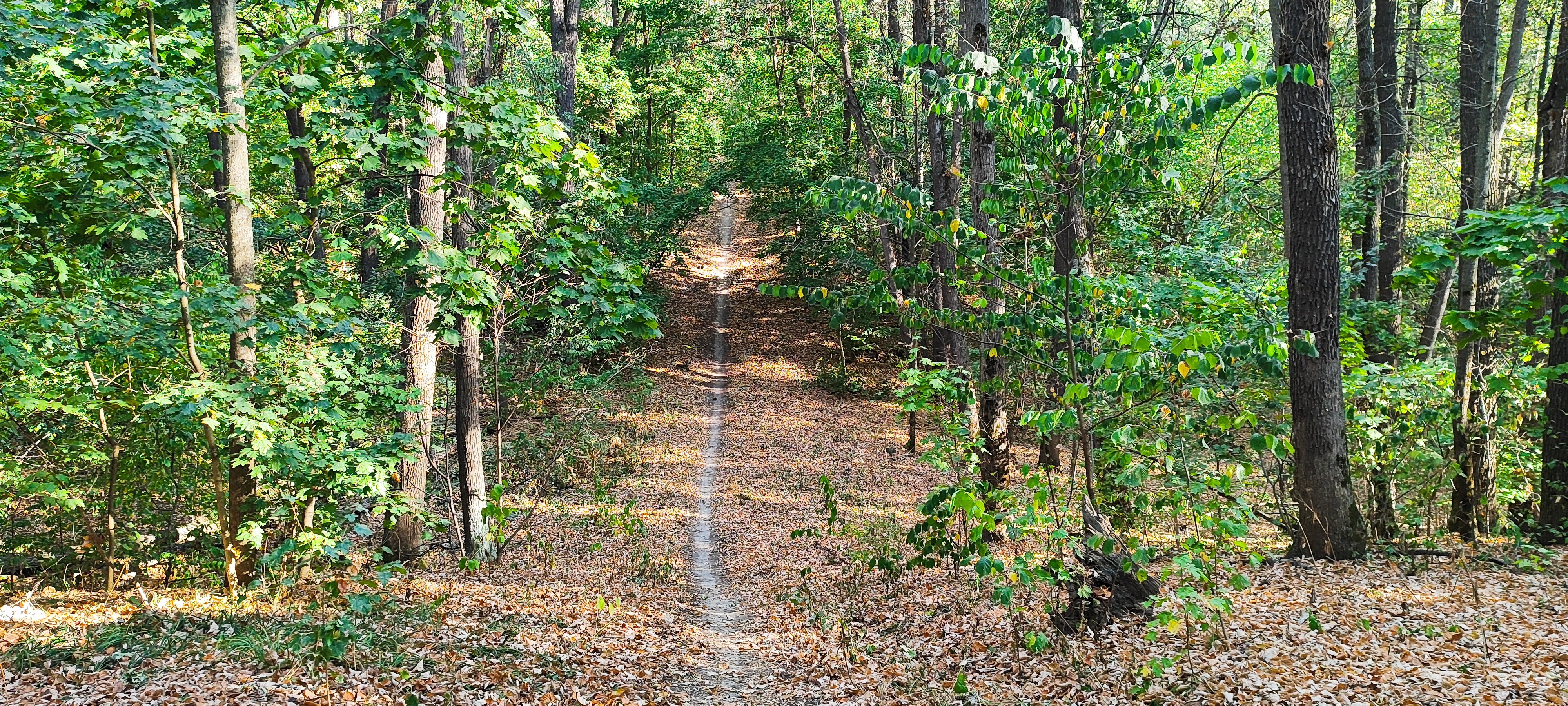 4000x1800
