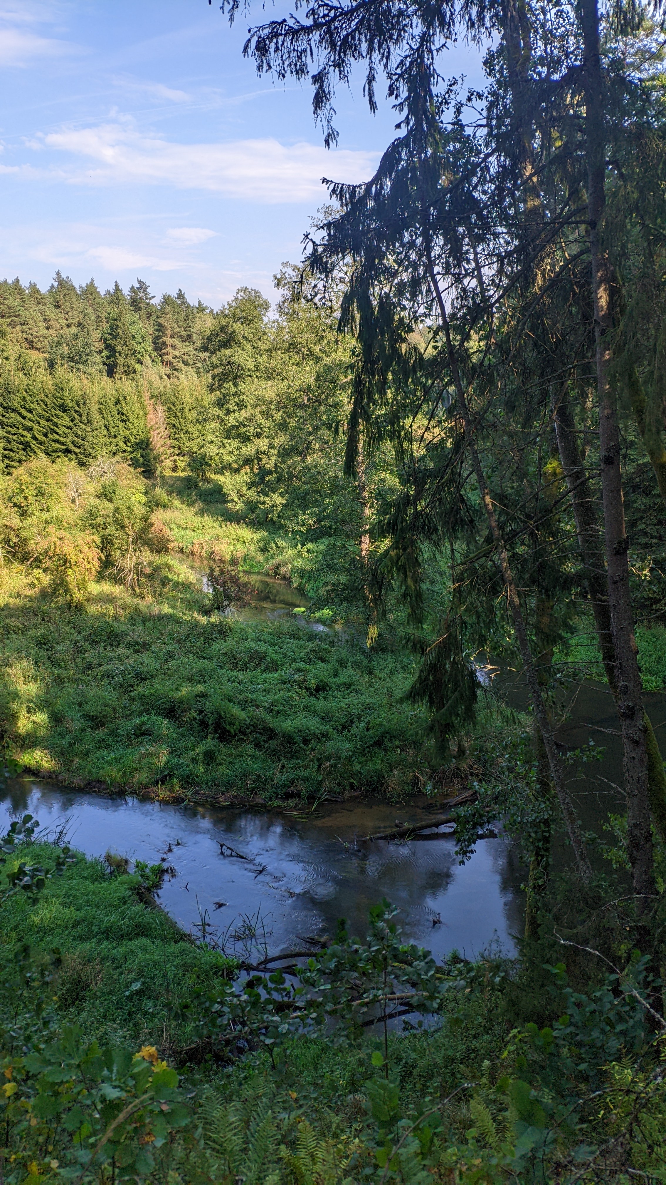 2268x4032