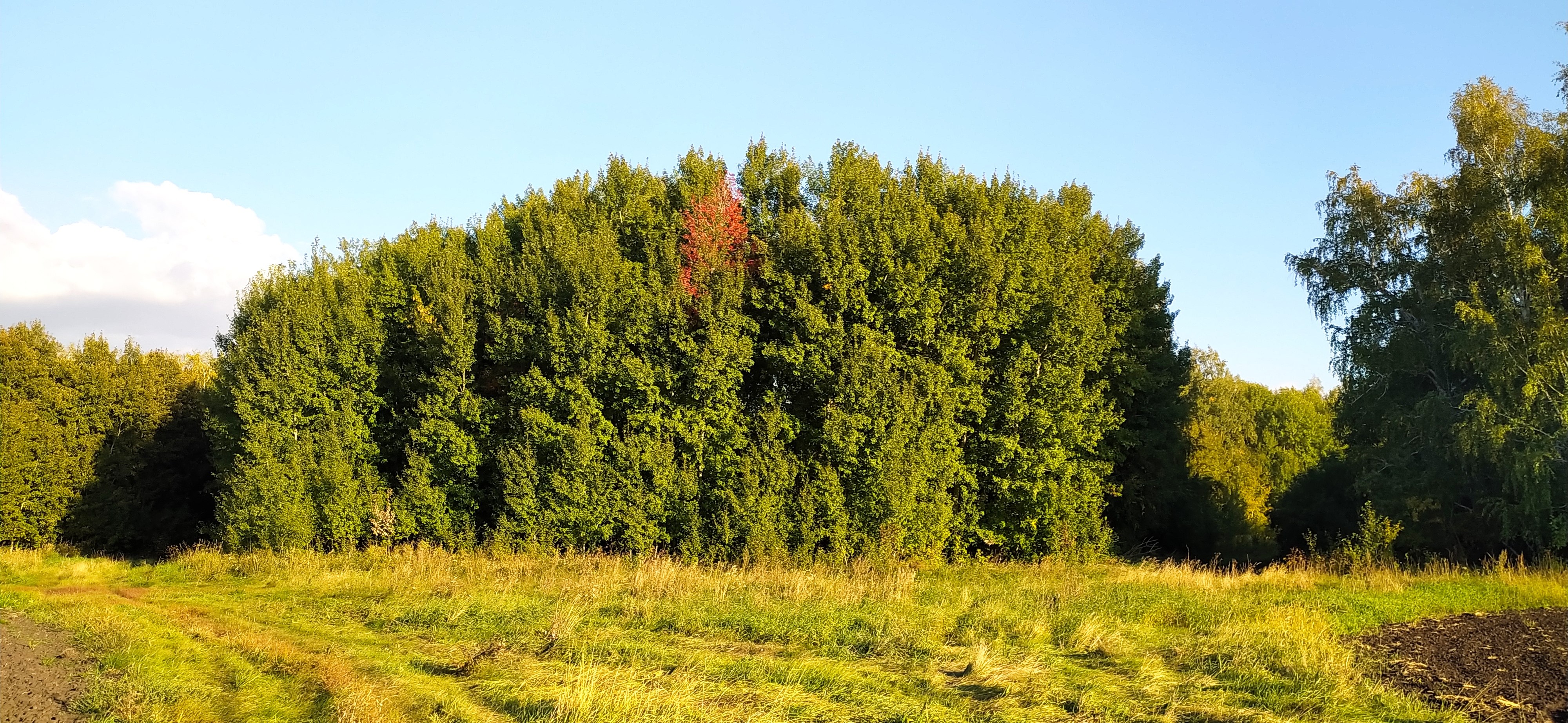 4000x1844