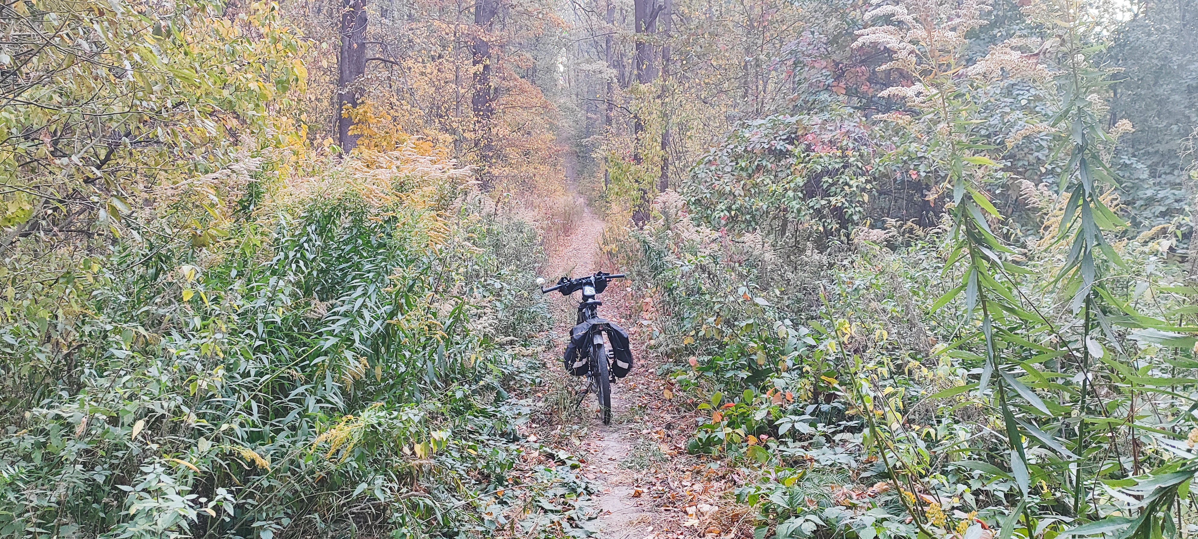 4000x1800