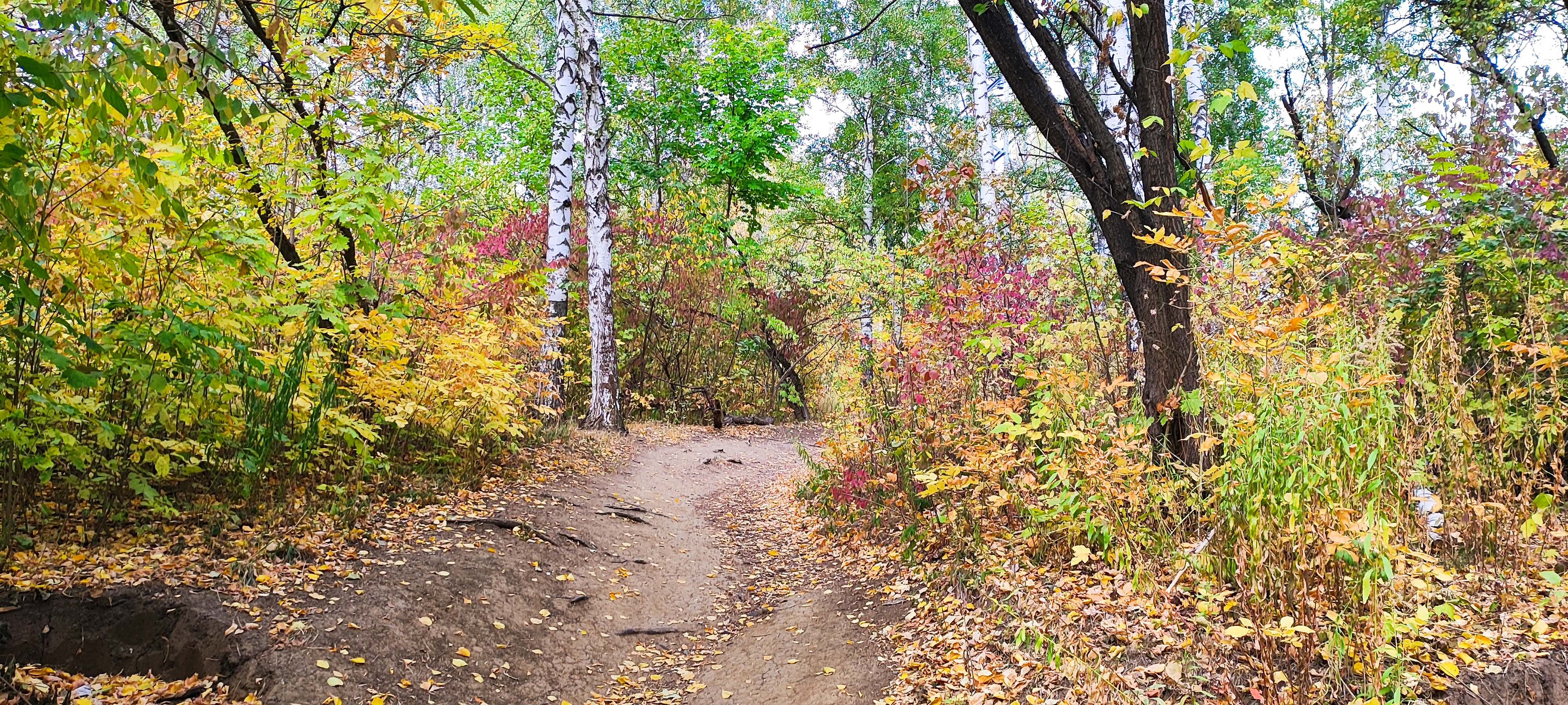 4000x1800