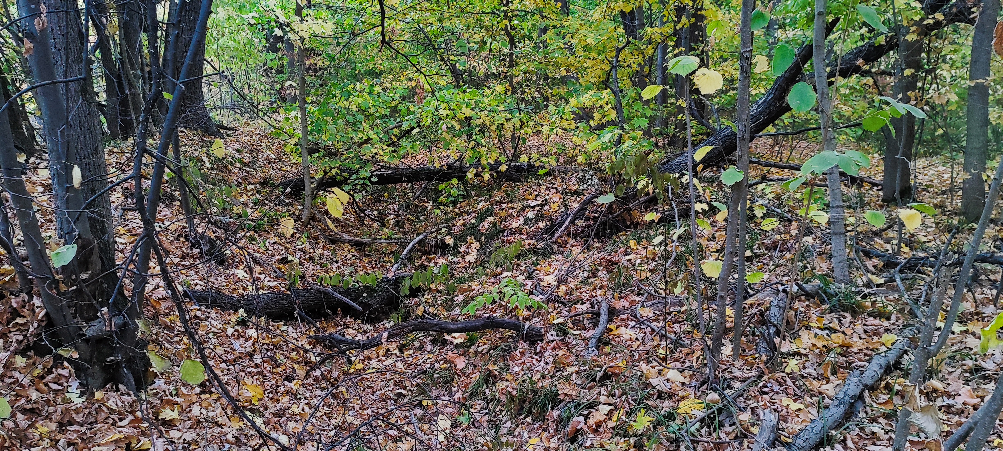 4000x1800