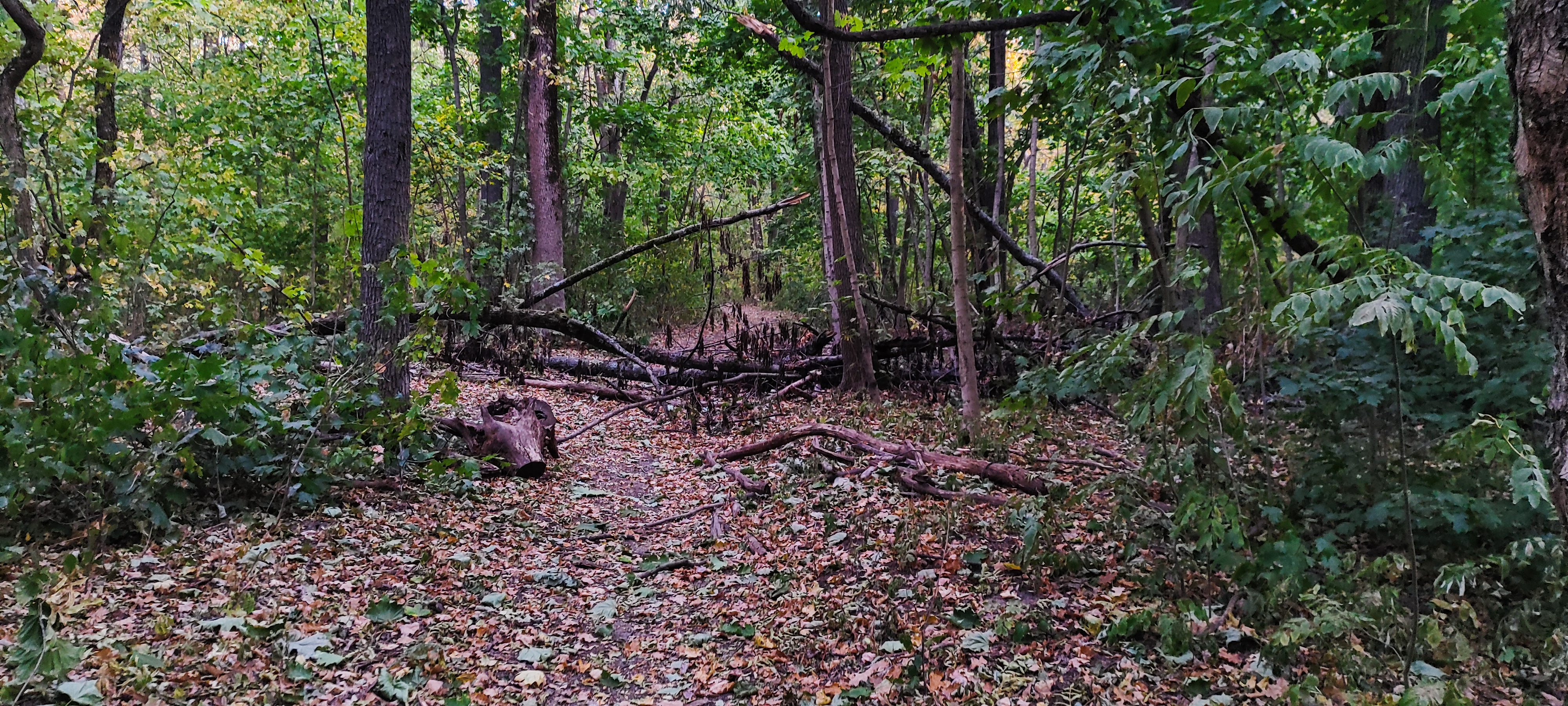 4000x1800