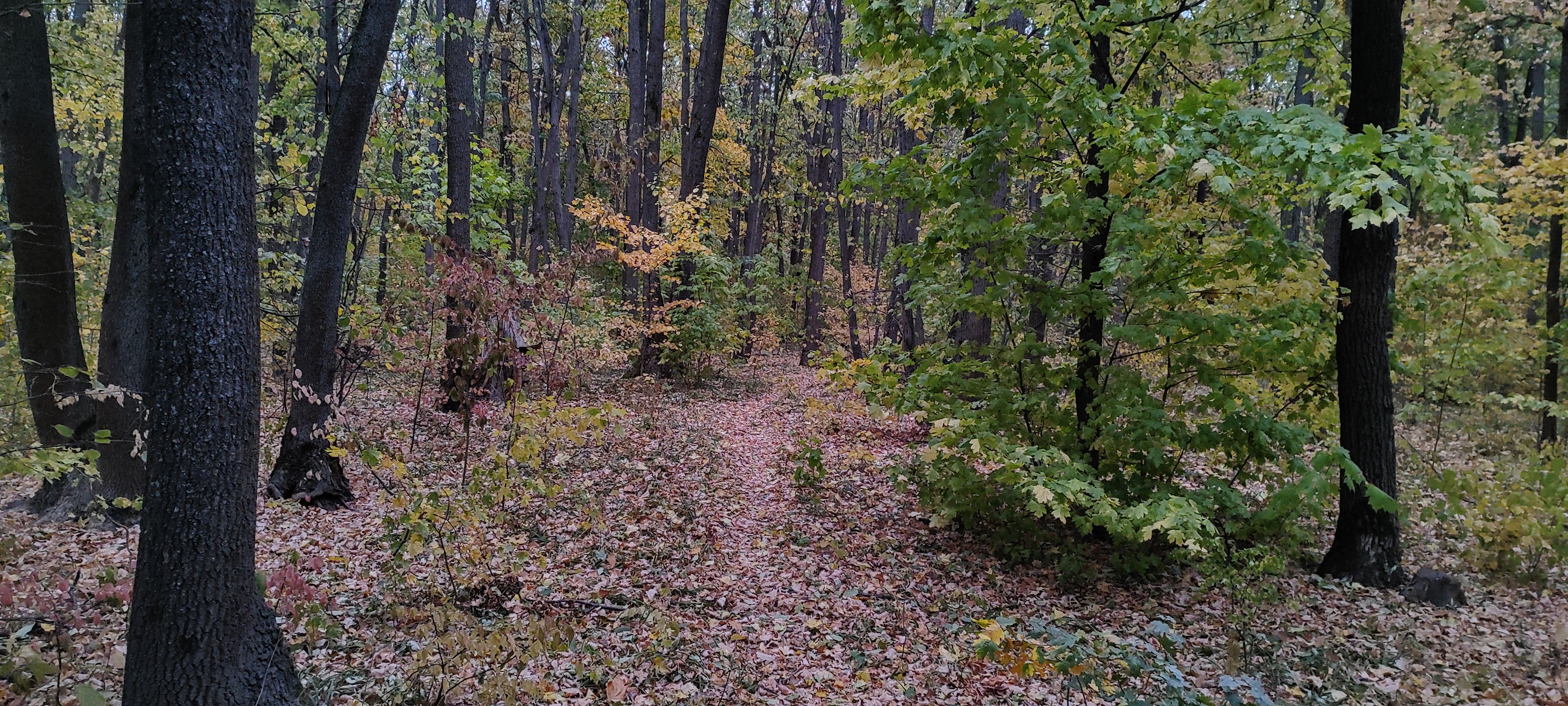 4000x1800