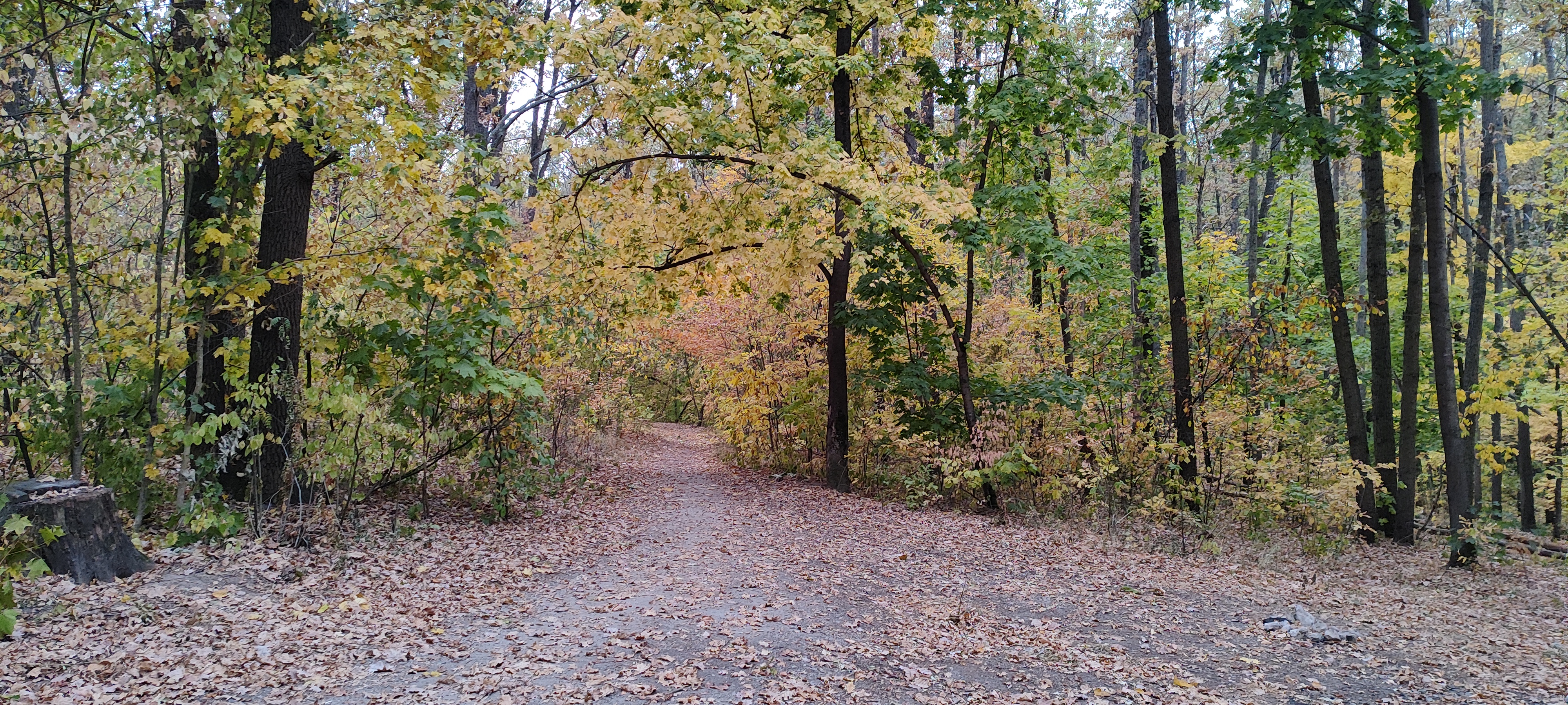 4000x1800