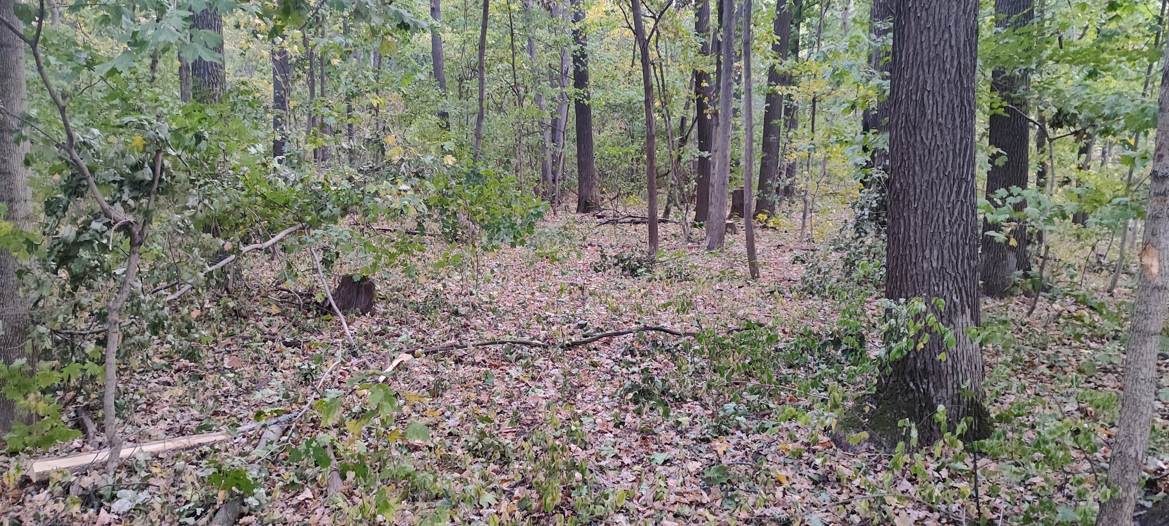 4000x1800