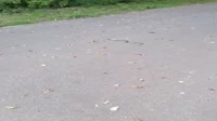 640x360