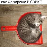 906x906