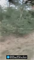 720x1272