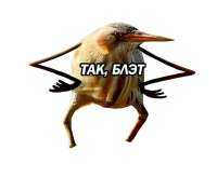 591x486