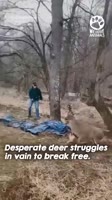 360x640