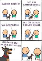 600x867