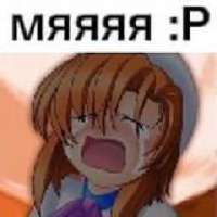 320x320