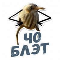 512x512