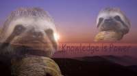 500x281