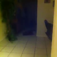 360x360