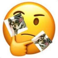 256x256