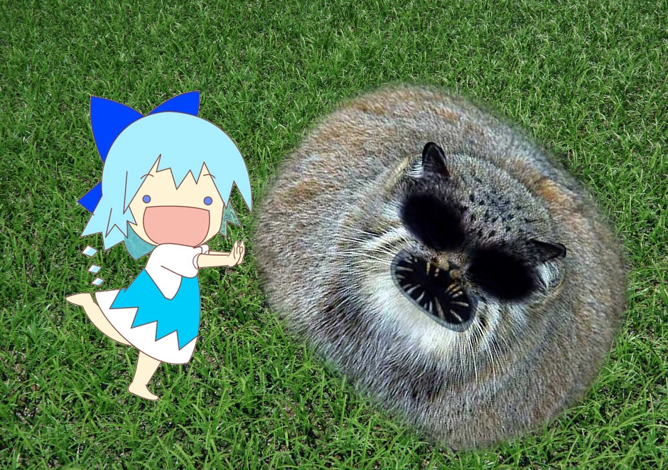 940x661