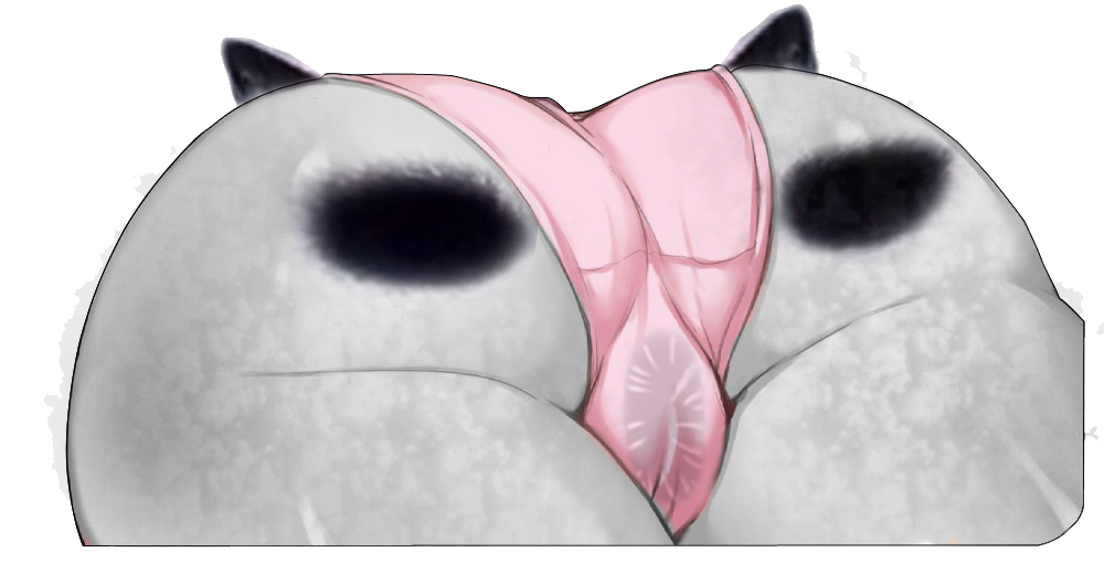 1000x510