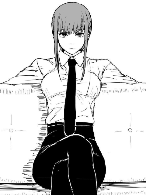 480x642