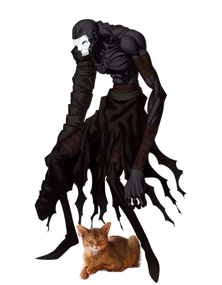 736x944