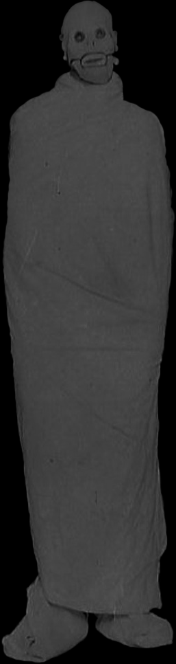 257x966