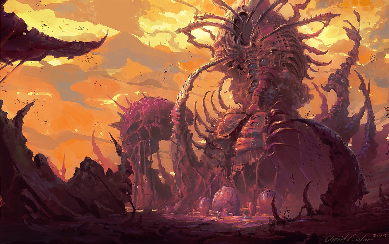 1280x804