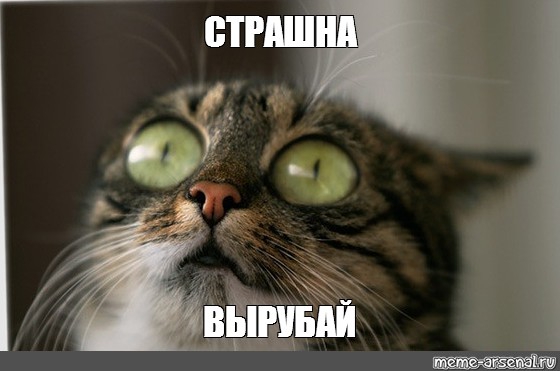 560x371