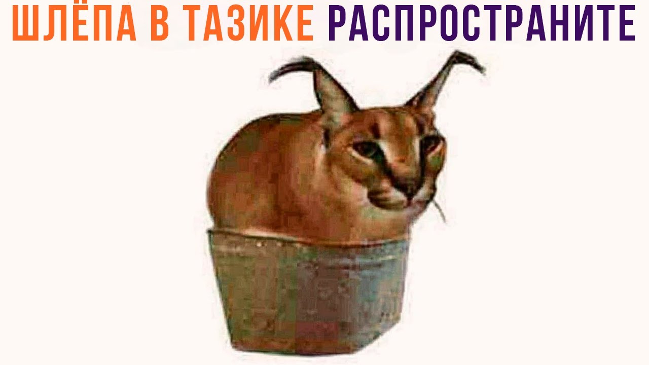 1280x720