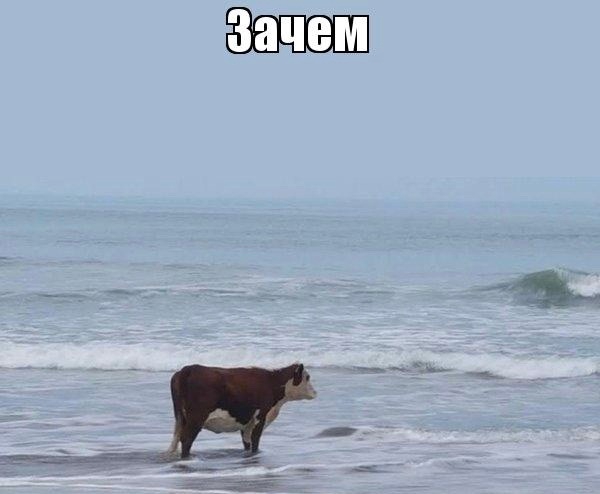 600x494
