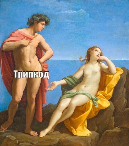 441x501