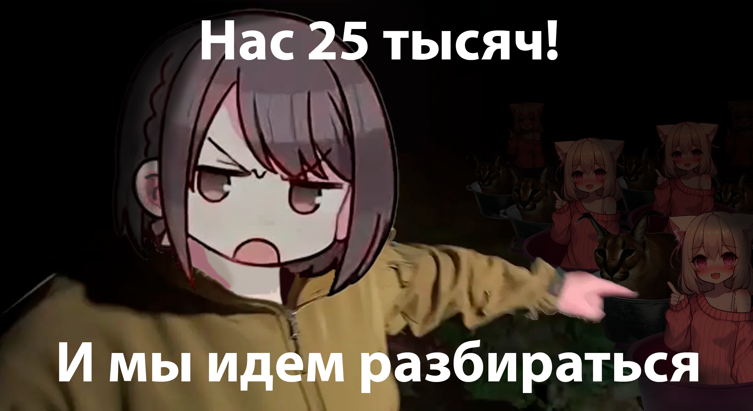 2598x1417