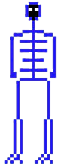 122x325