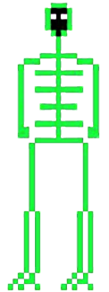 122x325