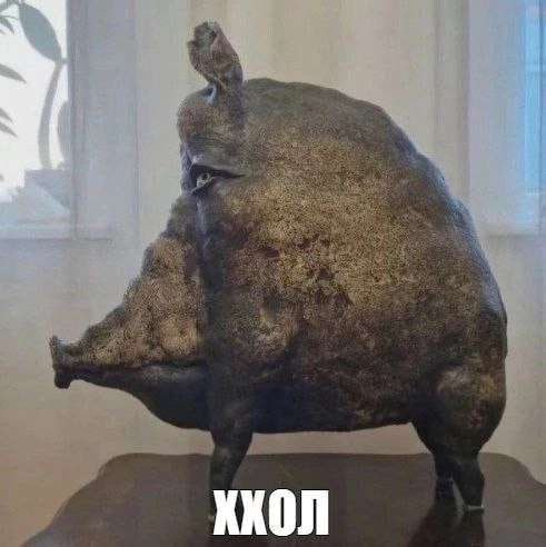 491x492