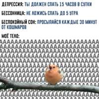 1500x1500