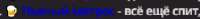 262x25