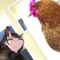 622x622