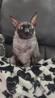 608x1080