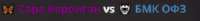 276x29