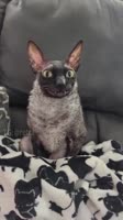 608x1080