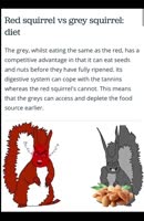 720x1104