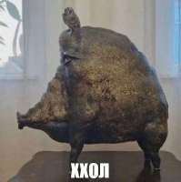 491x492